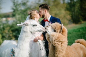 Свадьба в стиле БОХО: Дмитрий и Виктория